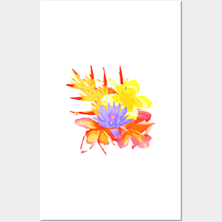 summer burst Posters and Art